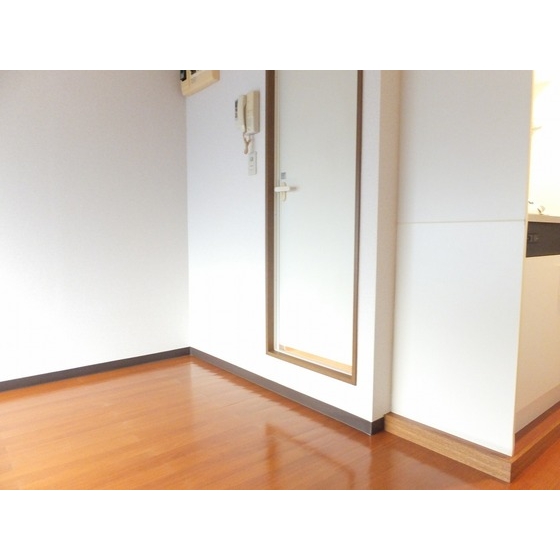 ダイヤモンドレジデンス南大塚0106号室 内観