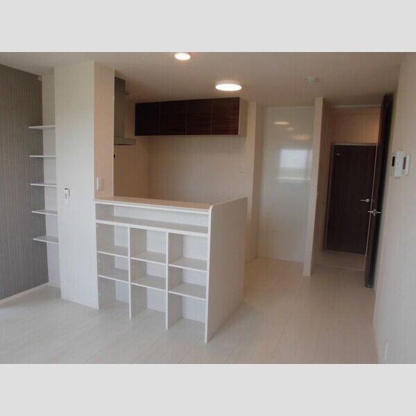 ロイジェントパークス レイクタウン Ⅲ　E210号室 リビング