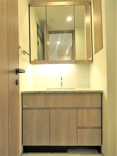 ブランズ渋谷桜丘 洗面所