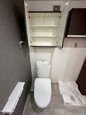 ベイルームグラシア海老名302号室 トイレ