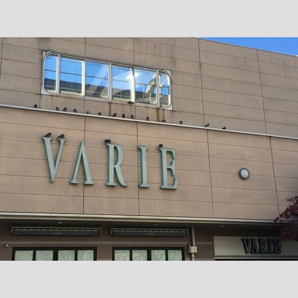 レーヴ・シェソワ307号室 ヴァリエ草加店