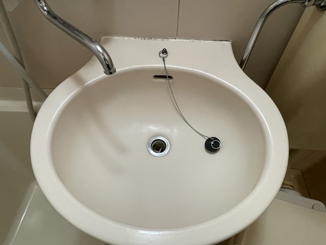 パルデンス自由ヶ丘 洗面