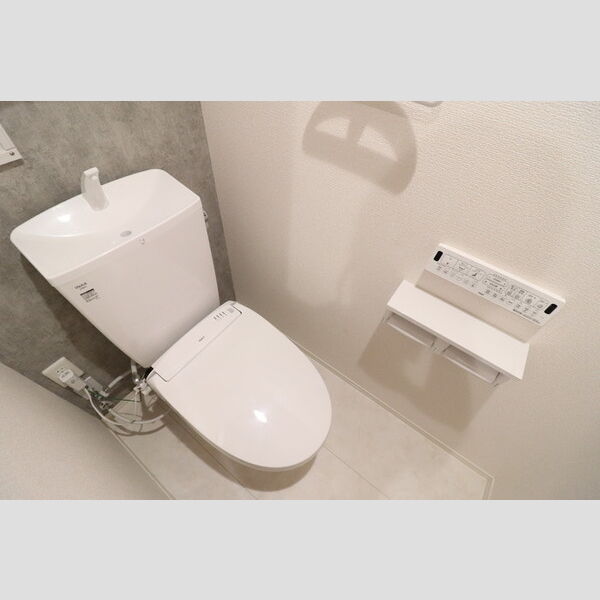 Noble Villa 針ヶ谷303号室 トイレ