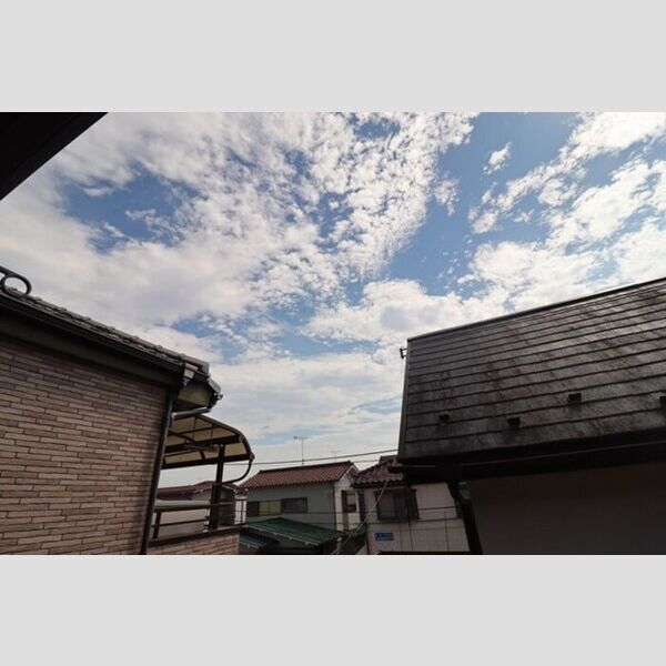 ダッシュコート 眺望