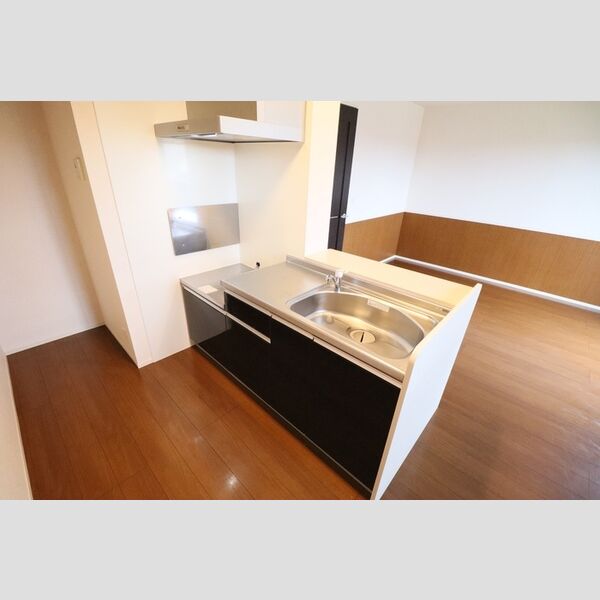 グラマードマレⅡ205号室 キッチン