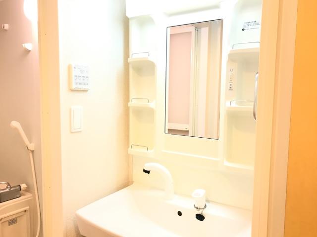 ロビュスト　メゾン 洗面