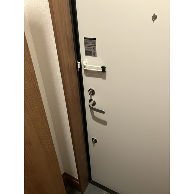 グランソフィア上福岡201号室 玄関