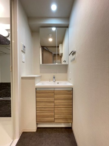 DIPS上板橋211号室 洗面