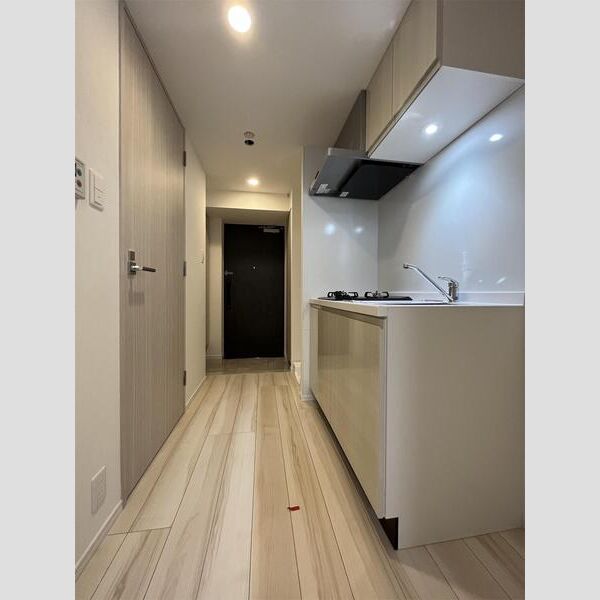 S-RESIDENCE板橋大山304号室 リビング