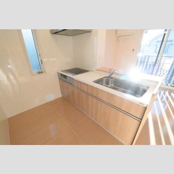 メゾン・ド・ライコ　Ⅱ202号室 システムキッチン