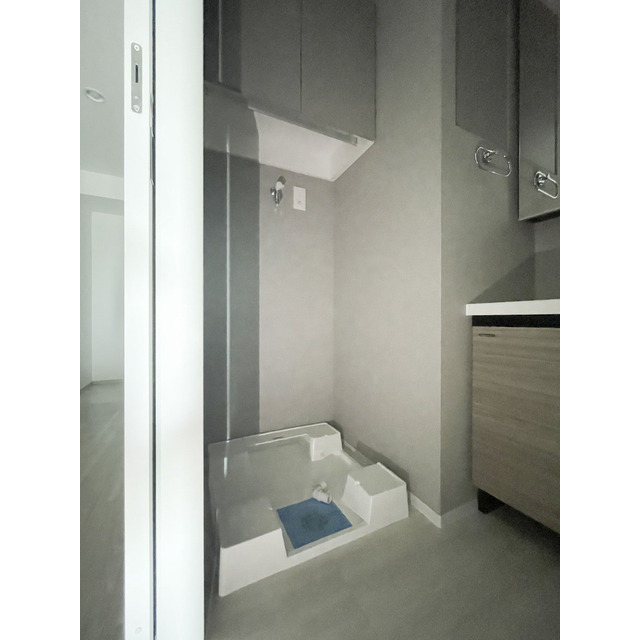 コスモグラシア三ノ輪0701号室 室内洗濯機置き場