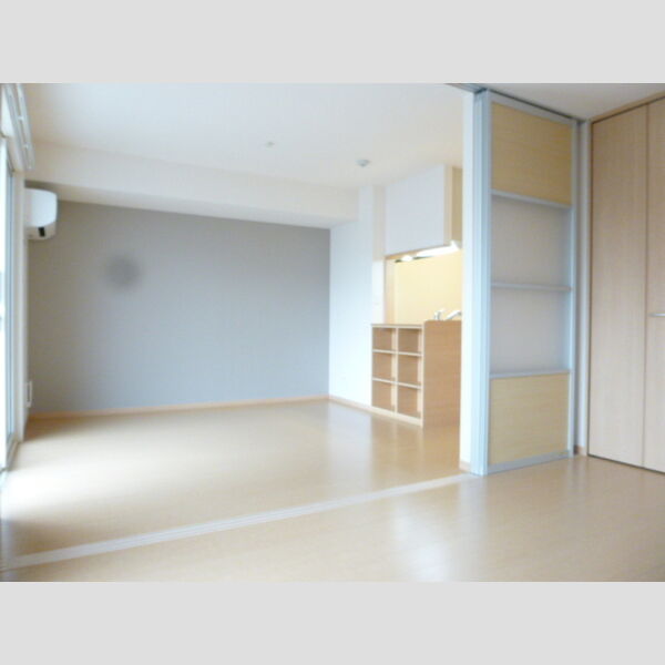 AlbaGrande(アルバグランデ)106号室 居室全景