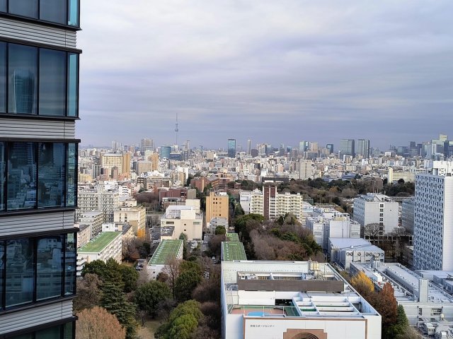 SKY FOREST RESIDENCE2209号室 晴れた日はスカイツリーまで