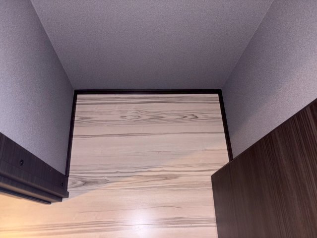 NIKKEIMARKS902号室 収納