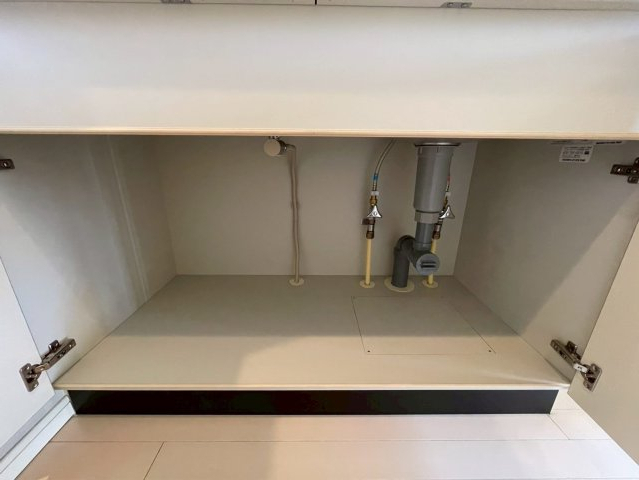 グラントゥルース門前仲町701号室 収納