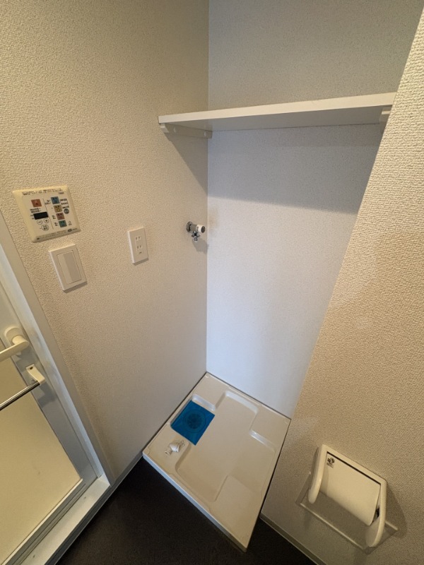 レジディア川崎10階 洗濯機置き場