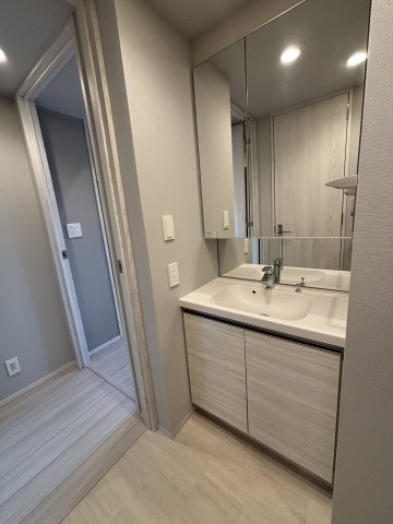 びゅうリエットグラン新宿戸山616号室 洗面