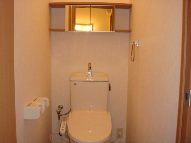 ルーム新町206号室 シャワー付トイレ