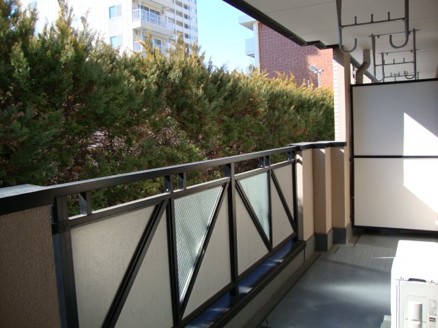 セントラルハイツ海老名101号室 ベランダ