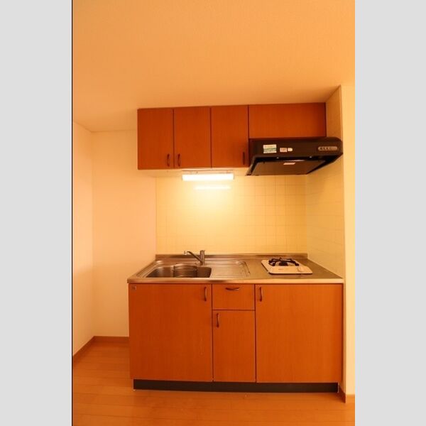 グランシーズ・アリヤマ 一口ガスコンロのキッチン