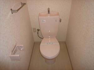 ホワイトヘイヴン0202号室 トイレ