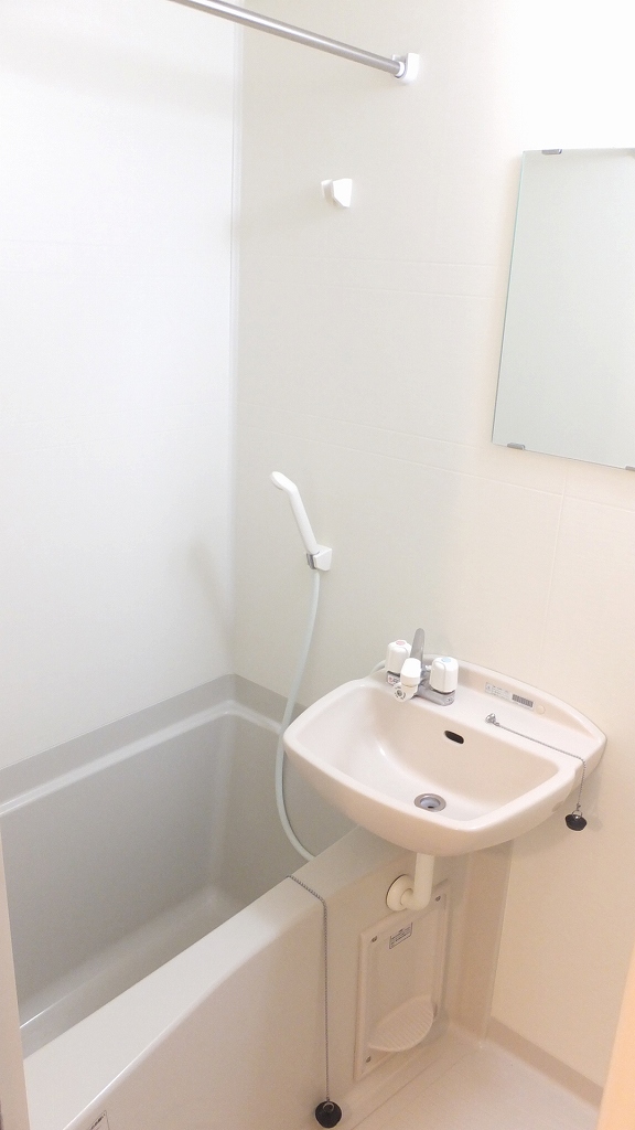 レオネクストＹＡＭＡＺＡＫＩ206号室 浴室換気乾燥機能付