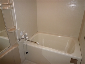 ホワイトヘイヴン0202号室 バス