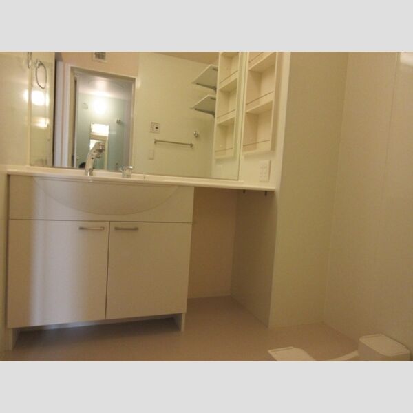 エスポワール鵠沼201号室 洗面