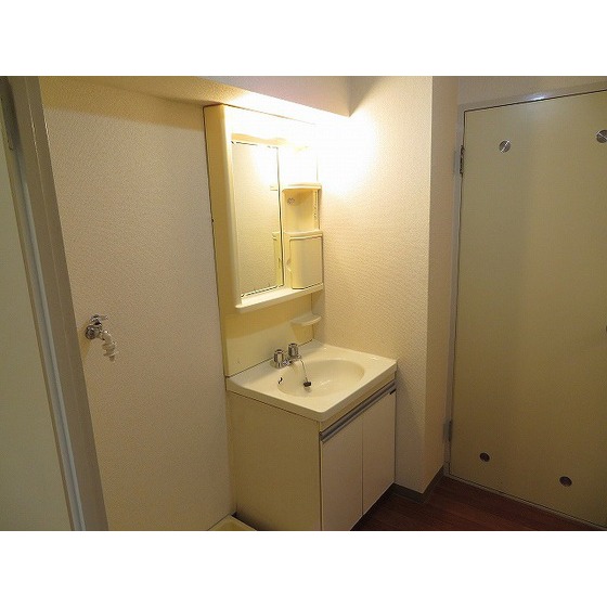 滝野川フラワーハイツ0402号室 独立洗面台