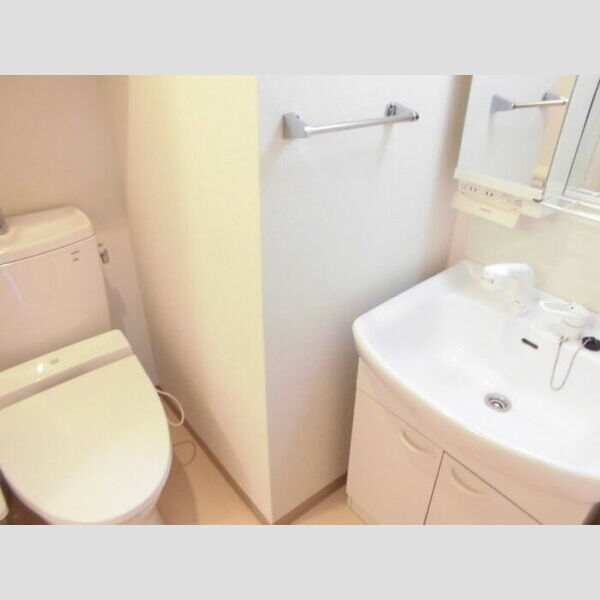 登戸N・Tステージ605号室 洗面所