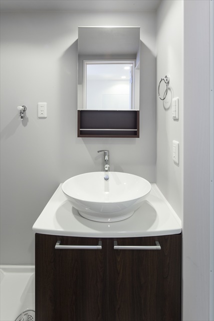 メゾンド　アルモ 洗面