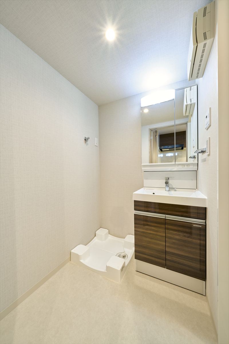 DIPS成増303号室 洗面