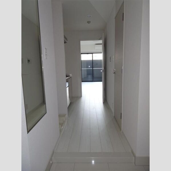 フュージョナル東墨田102号室 玄関