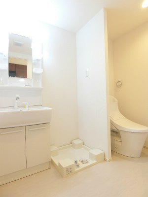 リブリ・MiiA1階 洗面