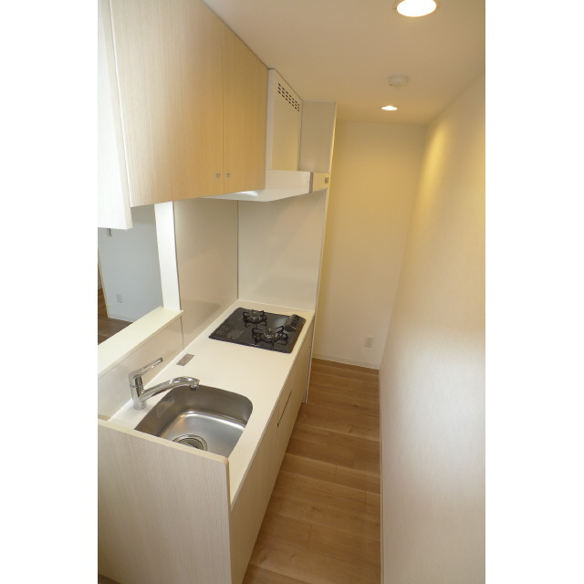 エルスタンザ平井0103号室 キッチン