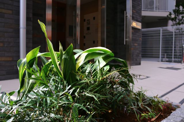 Log新川／ログ新川901号室 LOG新川