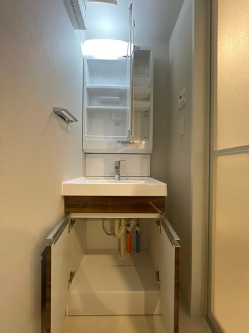 DIPS成増105号室 洗面
