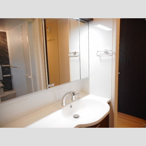 アイビーコートT102号室 洗髪洗面化粧台