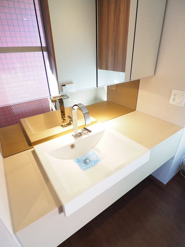 レジディア品川2階 洗面