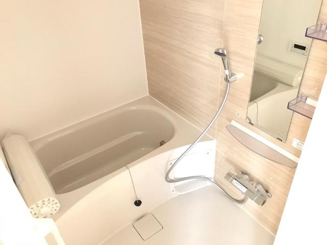 Ｐｌｕｍｅｒｉａ（プルメリア）107号室 廊下