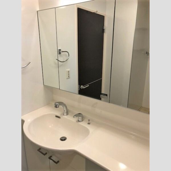 グランドゥールヒル　Ⅱ202号室 洗面所