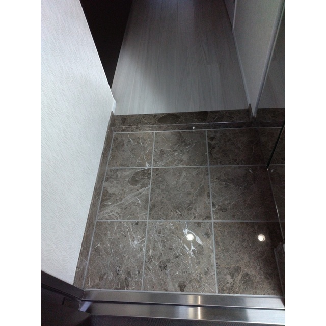 ロアール川崎新町 玄関