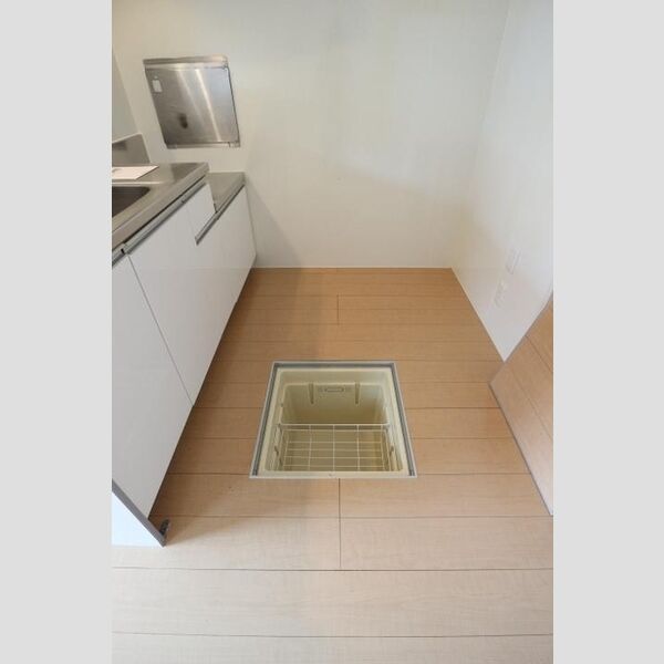 グリーンリーブス105号室 床下収納