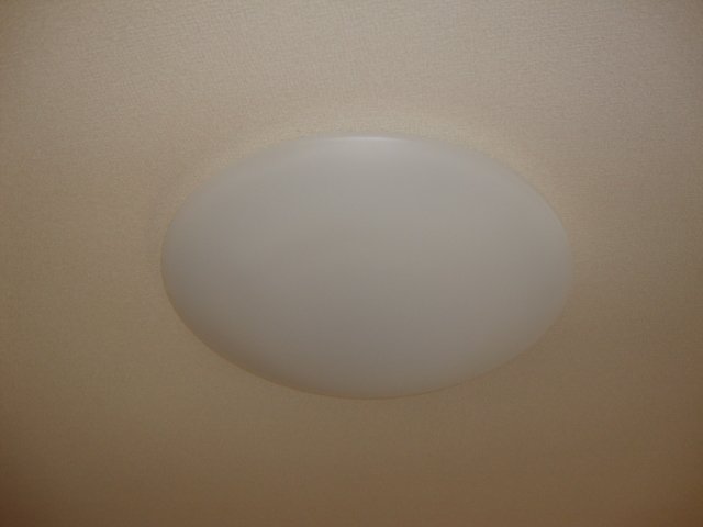 パールハイム鎌倉201号室 居室照明