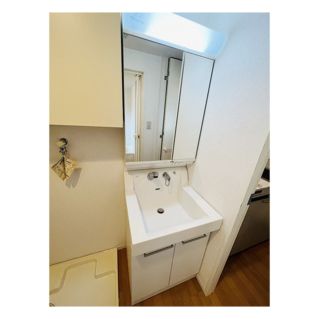 アンリシェール橋本Ａ202号室 洗髪洗面化粧台