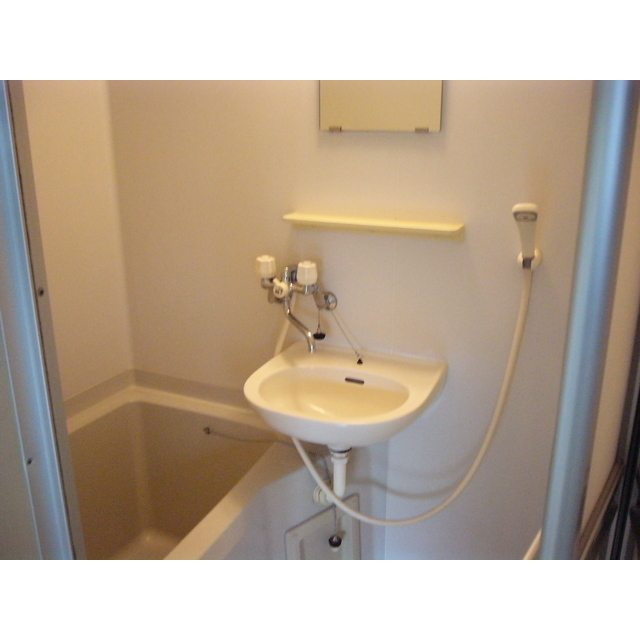 メゾンホリコシ0205号室 洗面台