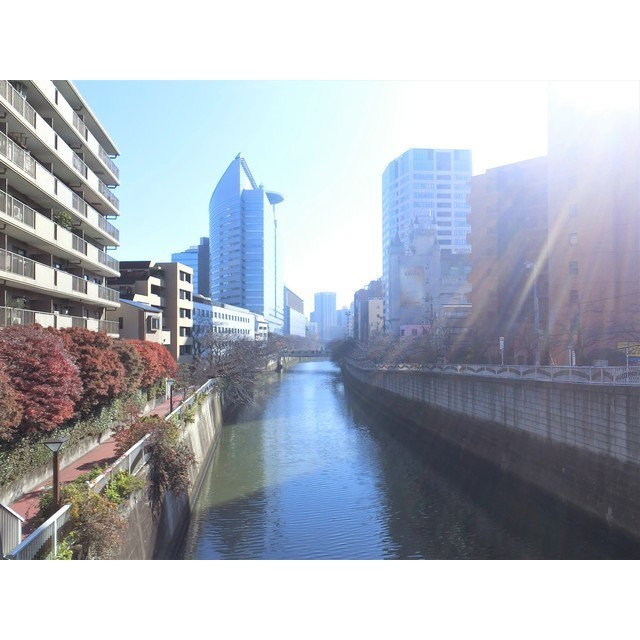 ザ・パークハビオ目黒1104号室 目黒川