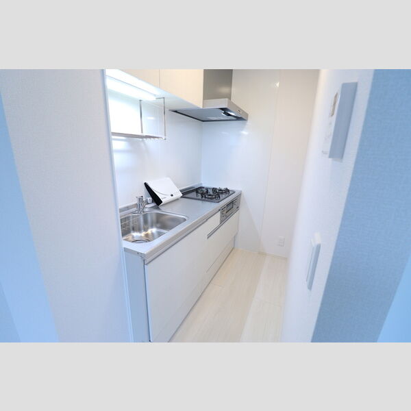 プレミール西千葉202号室 システムキッチン