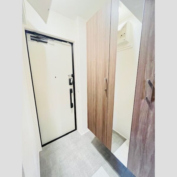 ファンウェーブ湘南藤沢303号室 玄関