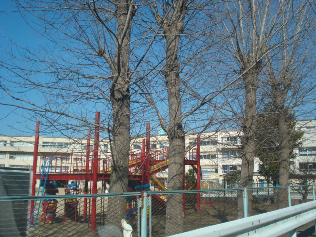 プラシード 八ヶ崎小学校まで240ｍ